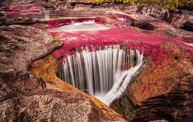 Caño Cristales, el río de los cinco colores